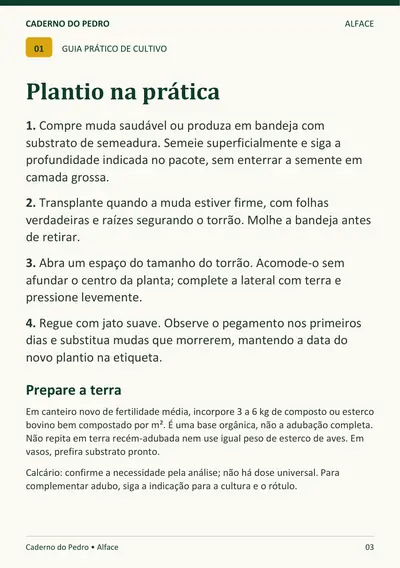 Página real do Caderno do Pedro: Alface: plantio na prática